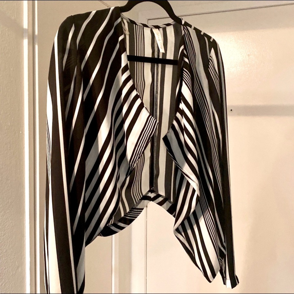 Striped Crop Sheer Polyester Blazer